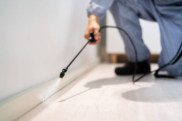 Licensed Termite Control service in Cloverly, MD - Nex Pest Control