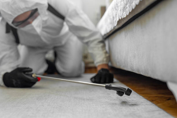 Professional Termite Control technician working in Cloverly, MD