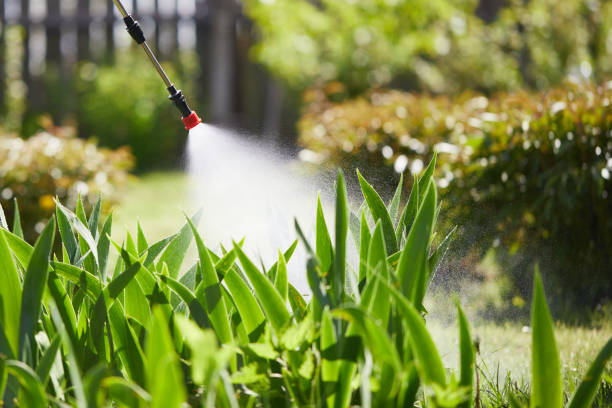 24/7 Emergency Termite Control experts in Cloverly, MD