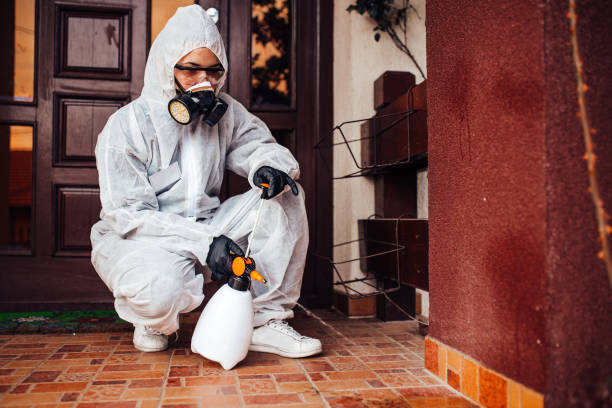 Reliable Termite Control contractor in Cloverly, MD by Nex Pest Control