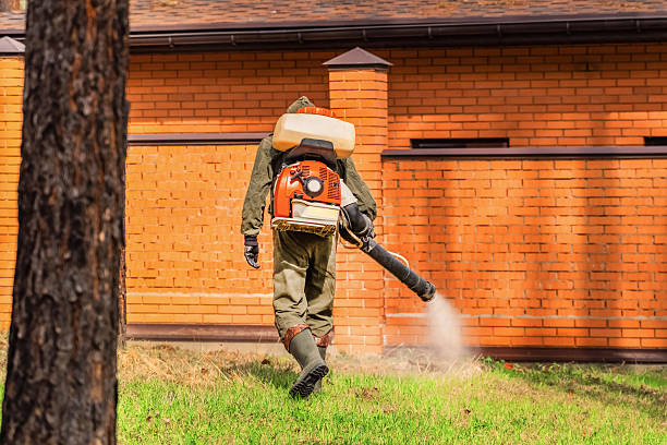 Top rated local Termite Control specialists in Cloverly, MD